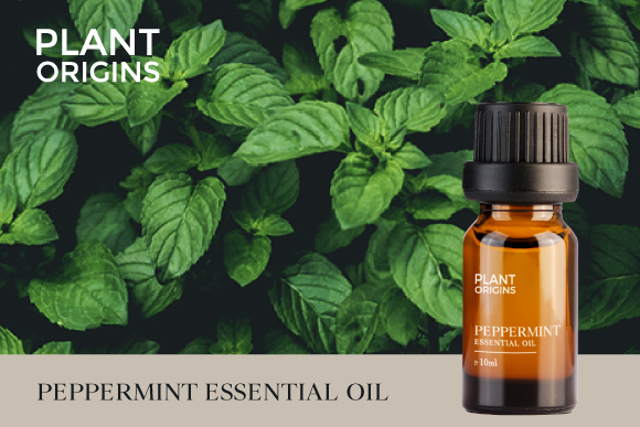Plant Origins Peppermint Essential Oil