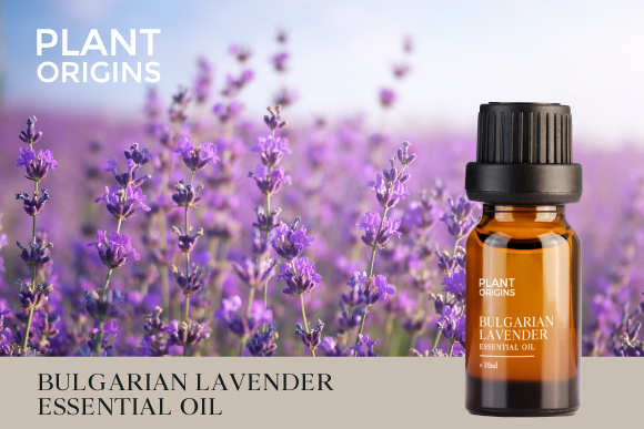 Plant Origins Bulgarian Lavender Essential Oil